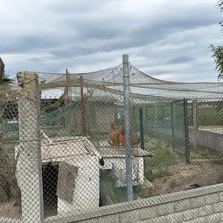 Agroturystka Jaskowo